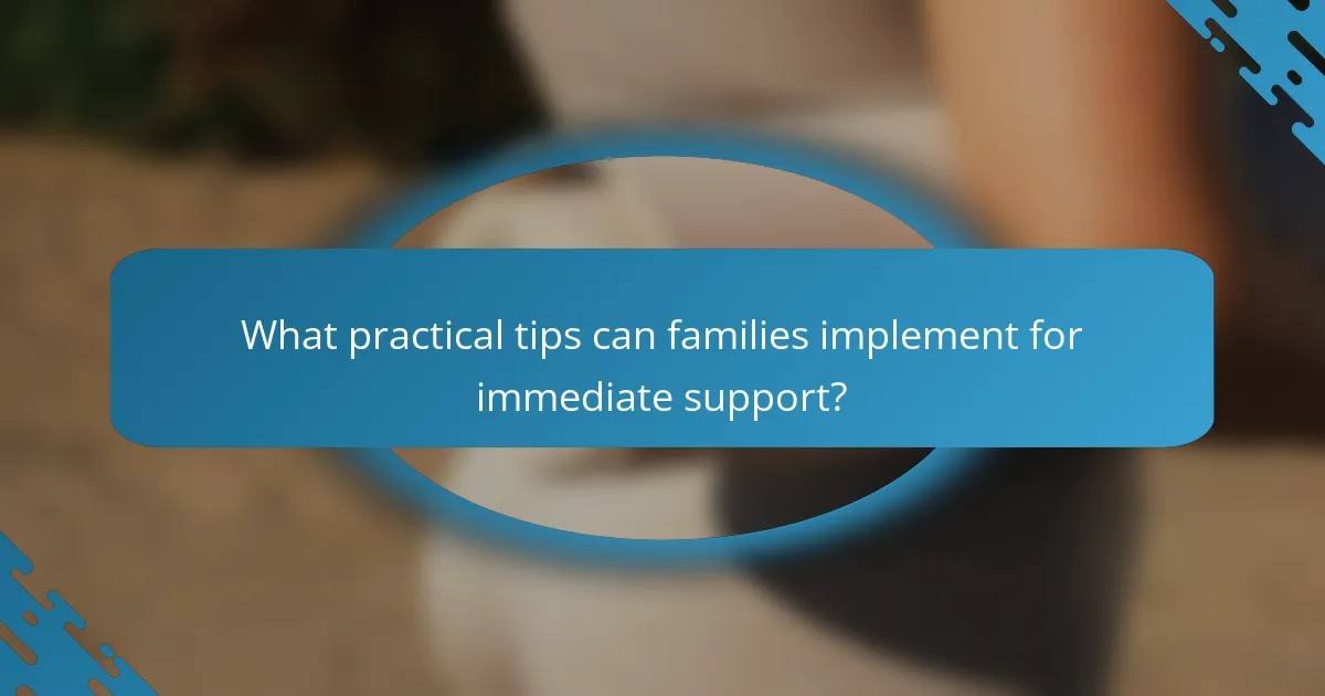 What practical tips can families implement for immediate support?